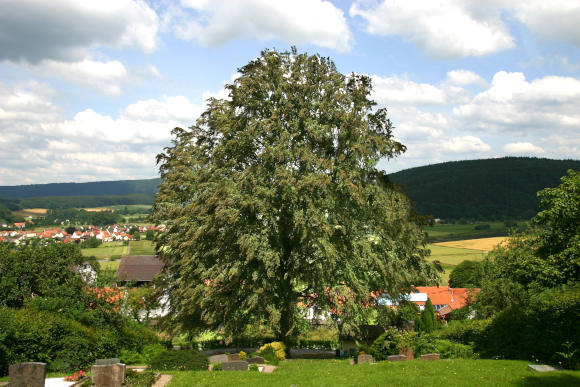 Friedhof Gewissenruh mit Blick auf das Waldenserdorf